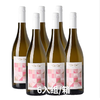 (6瓶/组)桃子亲亲莫斯卡托起泡酒,意大利 (Bottle) Cin Cin Moscato Asti D.O.C.G. , Italy(6pcs) 商品缩略图0