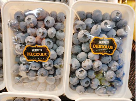 宝宝蓝莓一盒（拼团） 商品图3