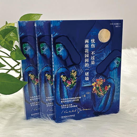 忧伤不过是两座花园间的一堵墙   纪伯伦 (黎巴嫩) 商品图5