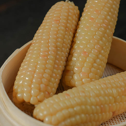 人间喜物西双版纳白糯玉米 1斤/3斤/5斤（白色花色玉米混发） 商品图2