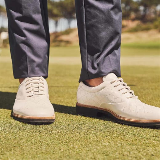 【高尔夫健步混合经典】ECCO爱步男子高尔夫皮鞋缓震排湿透气110214 商品图2