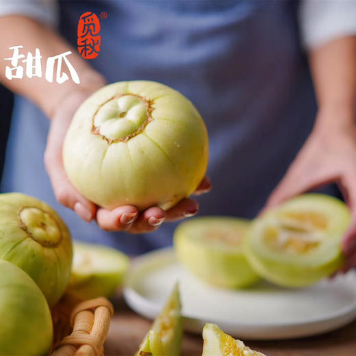 2026年觅秋第十一季马连庄甜瓜【甜  香  脆】大沽河畔  马连庄甜瓜  皮薄且脆  果肉清甜细腻  甘润爽口  瓜籽细嫩不硬  口感极佳  全国农产品地理标志 商品图1