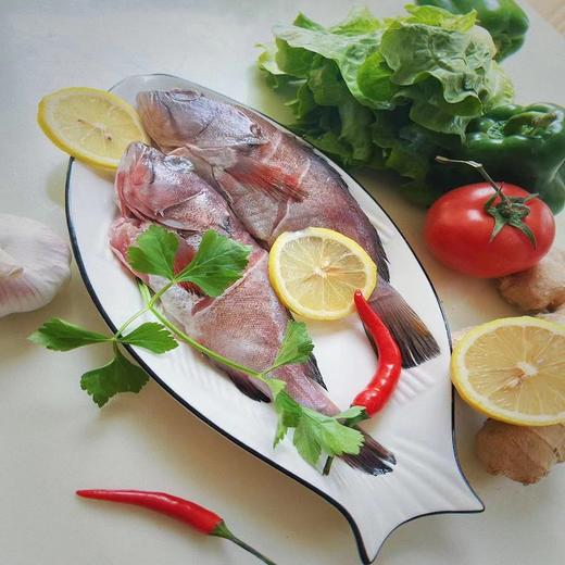野生石斑鱼450克 商品图0