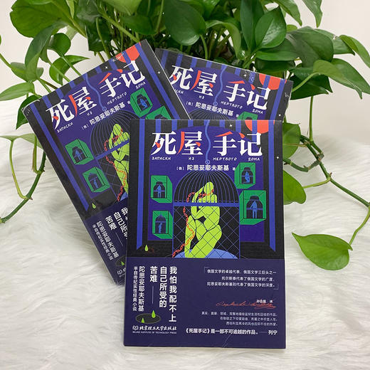 死屋手记    陀思妥耶夫斯基(俄罗斯) 商品图2