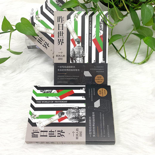 昨日世界    (奥) 斯蒂芬·茨威格 商品图4
