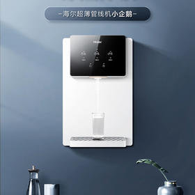 海尔（Haier）管线机 HGR2207［温热款］