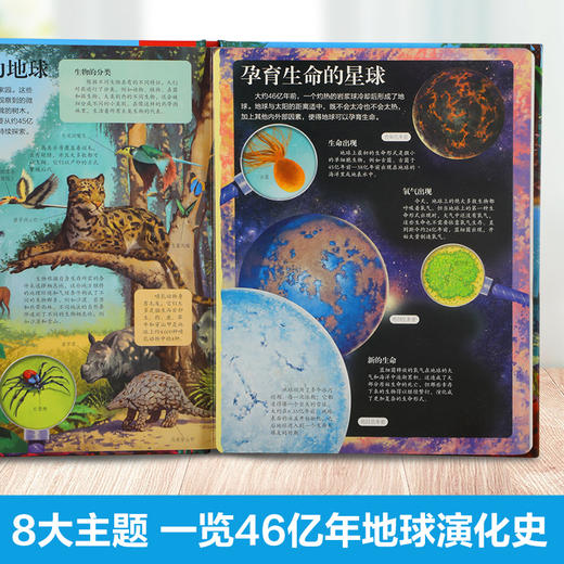 乐乐趣揭秘翻翻书系列第九辑-揭秘生命简史 商品图2