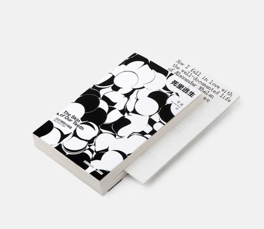 【送徽章】《单读27·死里逃生（附赠“中英小说对读”别册）》吴琦 主编 商品图2