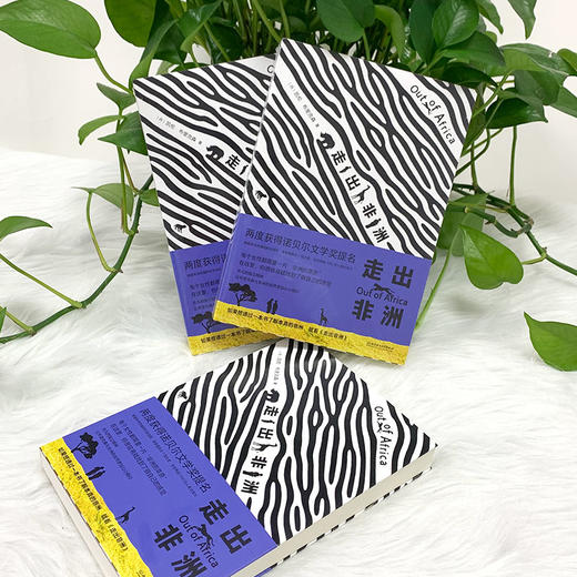 走出非洲 商品图5