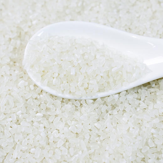 溢田有机粥米500g*3盒【厂家直供】 商品图3