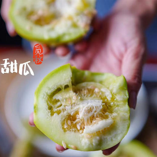 2026年觅秋第十一季马连庄甜瓜【甜  香  脆】大沽河畔  马连庄甜瓜  皮薄且脆  果肉清甜细腻  甘润爽口  瓜籽细嫩不硬  口感极佳  全国农产品地理标志 商品图2