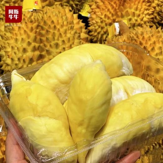 【泰国金枕榴莲】香浓绵软，肉质饱满，奶呼呼，放肆炫！ 商品图6