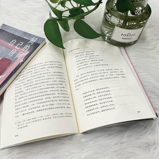 一间自己的房间  弗吉尼亚·伍尔夫（英） 商品图4