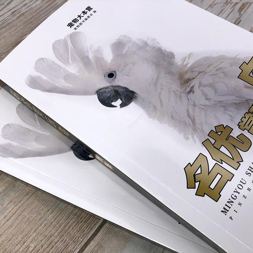 名优赏玩鸟品种图鉴 商品图2