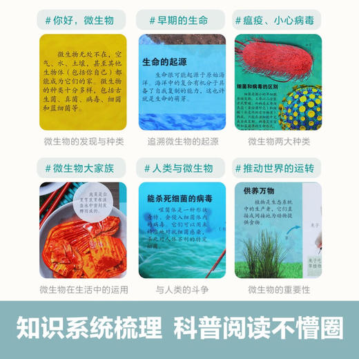 乐乐趣科普立体书 神秘微生物立体书 5-10岁 安妮·鲁尼 著 科普百科 商品图3