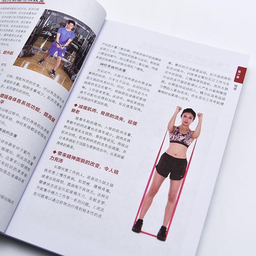人体运动彩色解剖图谱 肌肉训练百科全书 人邮体育解剖图谱编写组 著 运动健身 商品图1
