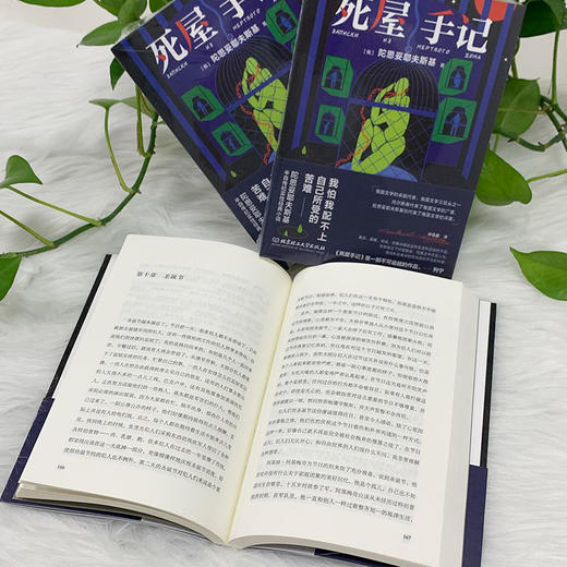 死屋手记    陀思妥耶夫斯基(俄罗斯) 商品图4