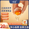 【味哲新鲜海鸭蛋】精美包装，60克/枚，20枚/盒，品质源于散养，现捡现发，鲜嫩口感，营养丰富，煎炒炖蒸煮，喷香美味！ 商品缩略图0