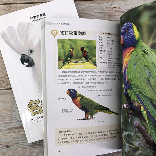 名优赏玩鸟品种图鉴 商品图9