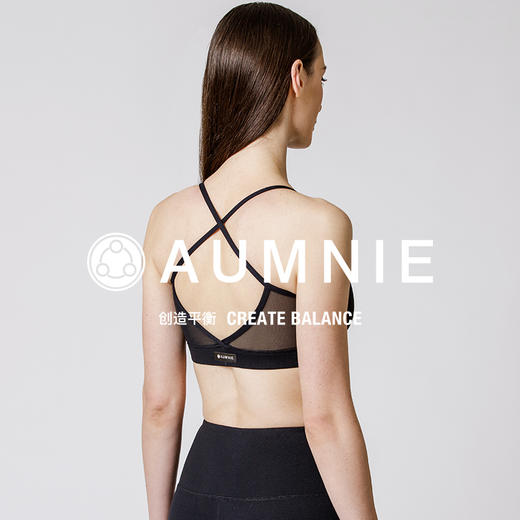 【新品】热情胸围 PASSION BRA 商品图1