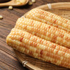 西双版纳香糯小玉米 150g*8根 商品缩略图2