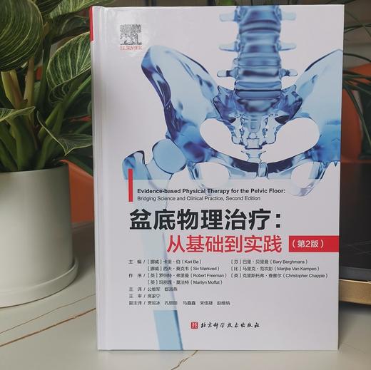 盆底物理治疗 从基础到实践 第2版 公维军 郄淑燕 主译 临床常见盆底功能障碍评估诊断治疗方法 北京科学技术出版社9787571425326 商品图2