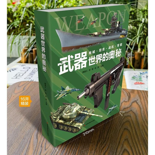 武器世界的奥秘 7-10岁 韩雨江等 著 科普百科 商品图3