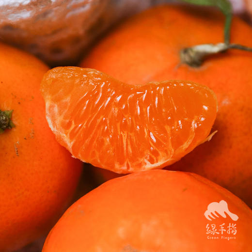 生态沃柑 | 合作生产 * Ecological Orah | Coproduction 商品图1