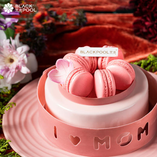 （此链接仅限14号配送）母亲节提前购福利~芳华·香草杏桃莓果慕斯（粉） 商品图1