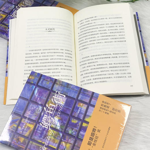 鳄鱼街    布鲁诺·舒尔茨著(波) 商品图3