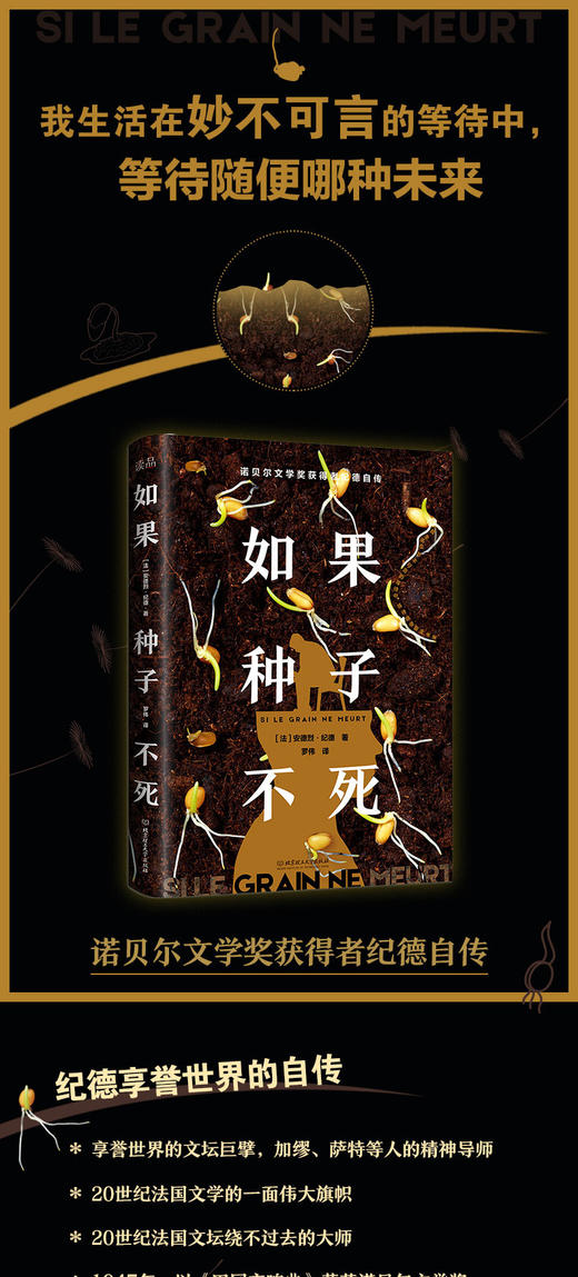 如果种子不死    安德烈·纪德(法) 商品图2