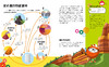 不可思议的万物变化（全6册）【揭示地球万物的循环变化和规律，4大学科，6个分册，近700个知识点，4所高校专家审读把关】 商品缩略图3