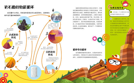 不可思议的万物变化（全6册）【揭示地球万物的循环变化和规律，4大学科，6个分册，近700个知识点，4所高校专家审读把关】 商品图3