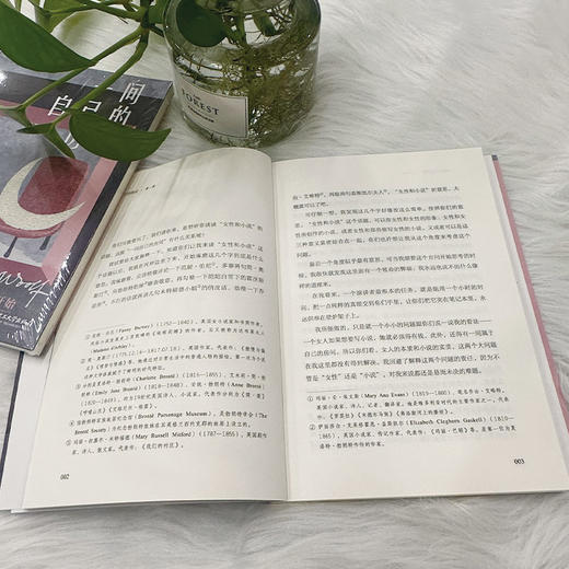 一间自己的房间  弗吉尼亚·伍尔夫（英） 商品图5