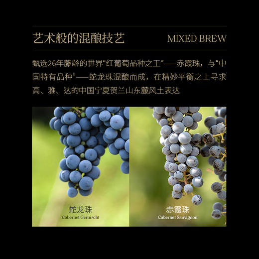 西鸽酒庄藤上藤干红葡萄酒 商品图7