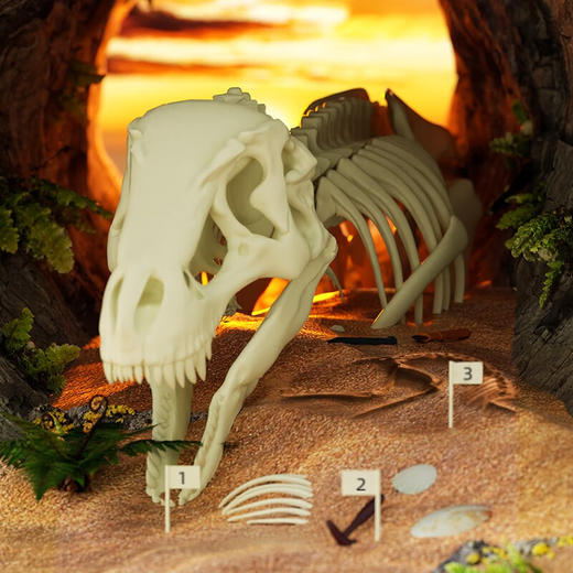 奥光玩具160003中生代超级恐龙化石挖掘套装 商品图4