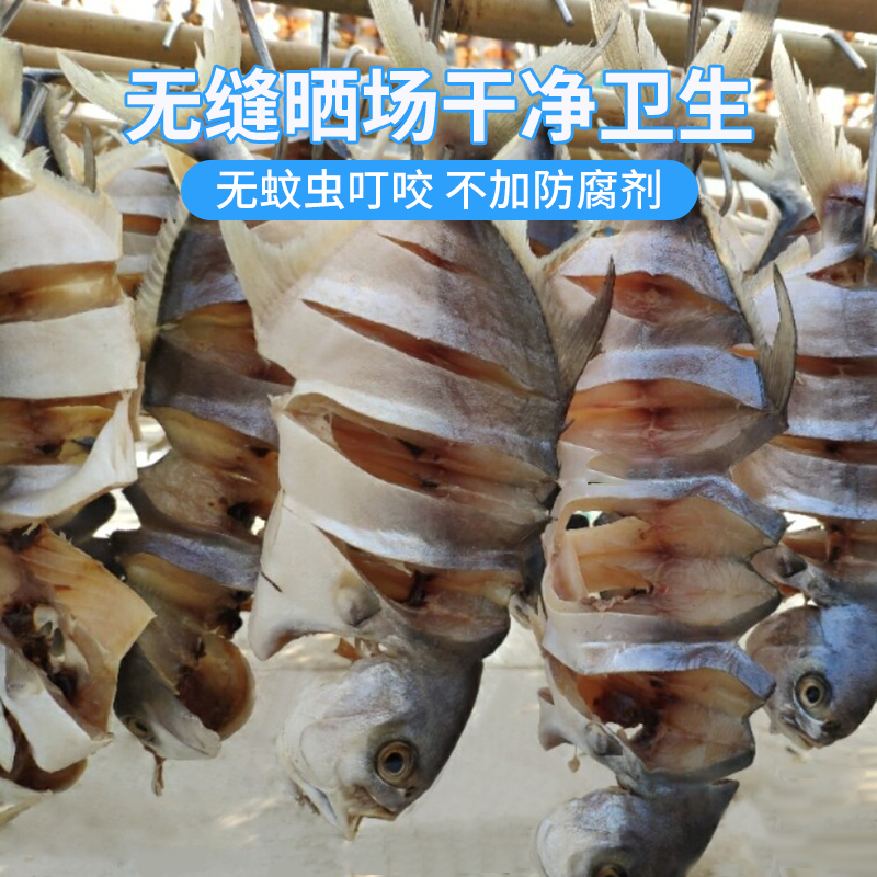 广东阳江 永昊 一夜埕金鲳鱼串干 8条