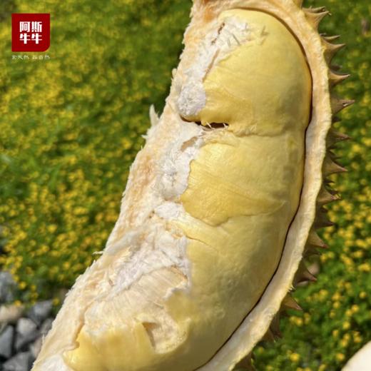 【泰国金枕榴莲】香浓绵软，肉质饱满，奶呼呼，放肆炫！ 商品图4