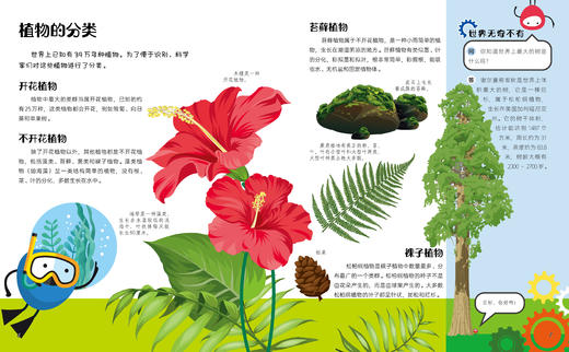 不可思议的万物变化（全6册）【揭示地球万物的循环变化和规律，4大学科，6个分册，近700个知识点，4所高校专家审读把关】 商品图4