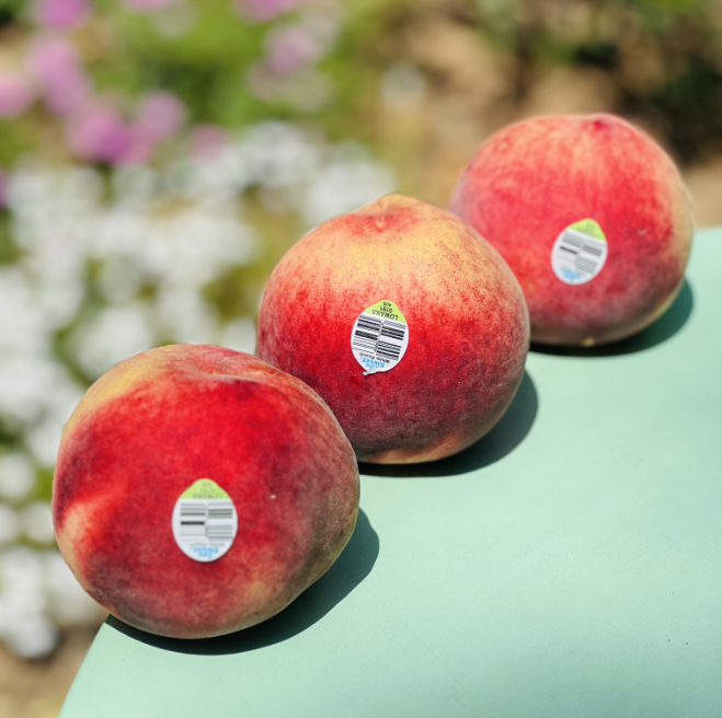 澳洲黄肉水蜜桃  |  🌹今天到的澳洲水蜜桃大果子，软硬皆宜，硬果脆甜有韧劲，软了之后吃起来口感绝佳，蜜糯柔，水分足，细腻到入口即化，悠悠回味～🍑😋😋♥️