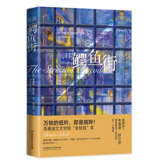 鳄鱼街    布鲁诺·舒尔茨著(波) 商品图0