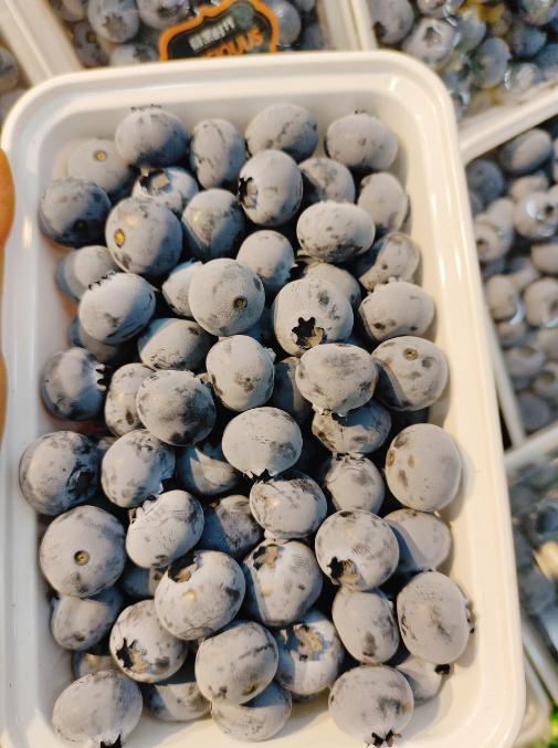 宝宝蓝莓一盒（拼团） 商品图5