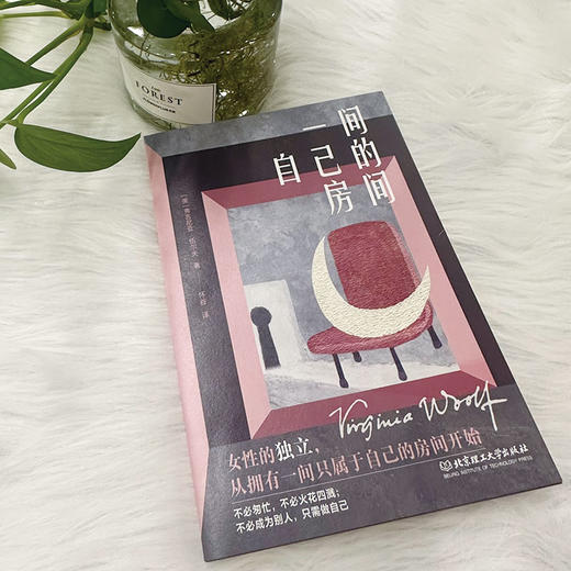 一间自己的房间  弗吉尼亚·伍尔夫（英） 商品图2