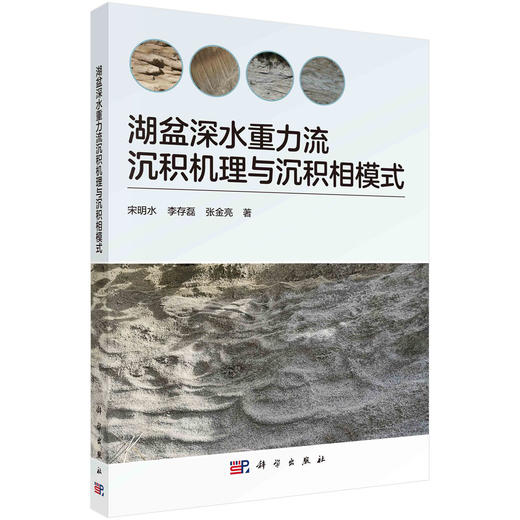 湖盆深水重力流沉积机理与沉积相模式 商品图0