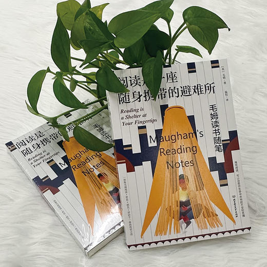 阅读是一座随身携带的避难所   毛姆 (英) 商品图2