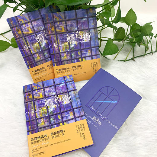 鳄鱼街    布鲁诺·舒尔茨著(波) 商品图2
