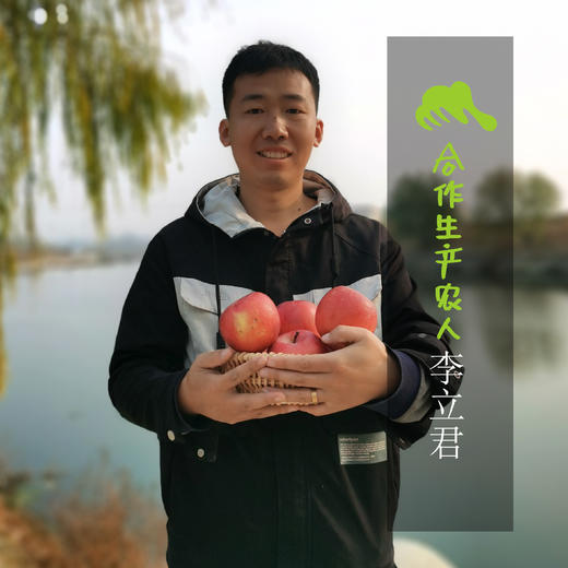 生态苹果干| 合作生产 * Eco Preserved apple fruit | Coproduction 商品图1