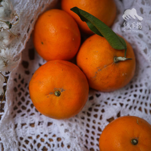 生态沃柑 | 合作生产 * Ecological Orah | Coproduction 商品图3