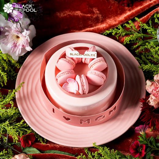 （此链接仅限14号配送）母亲节提前购福利~芳华·香草杏桃莓果慕斯（粉） 商品图2