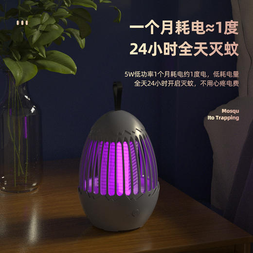 雅驹恐龙蛋电击灭蚊灯（四款可选） 商品图1